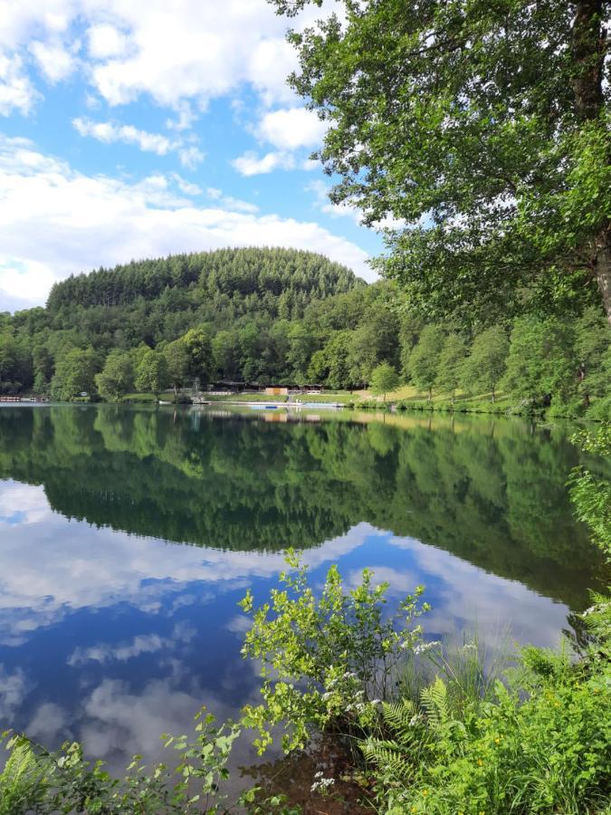 Ferien Am Maar Daire Daun Dış mekan fotoğraf